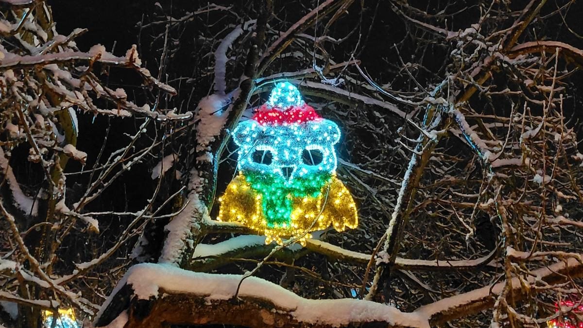 Магія світла: парк вогнів на ВДНГ під снігом засяяв по-новому (фоторепортаж, відео)