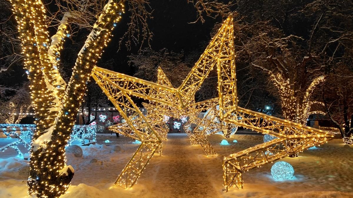 Магія світла: парк вогнів на ВДНГ під снігом засяяв по-новому (фоторепортаж, відео)