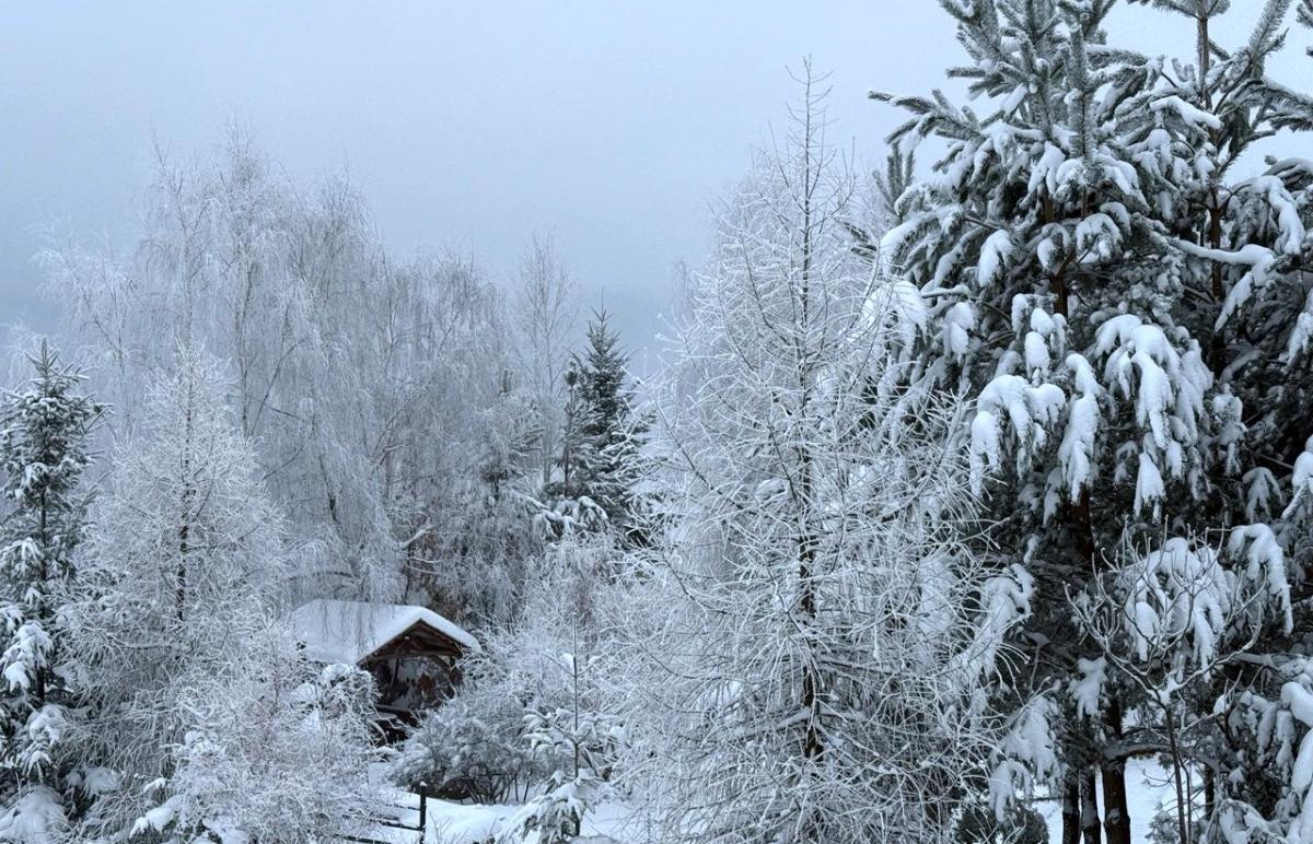 Не Буковелем єдиним: чим туристів приваблює гірськолижний курорт Красія