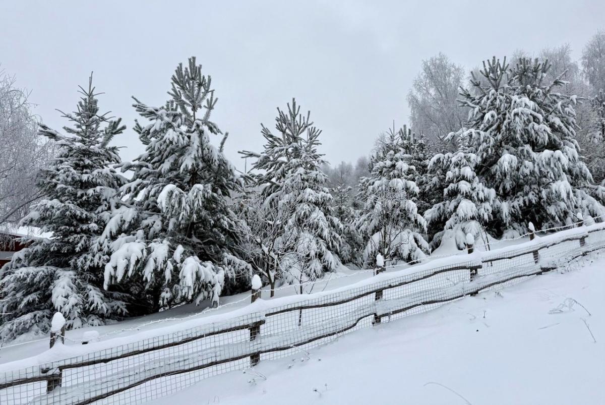 Не Буковелем єдиним: чим туристів приваблює гірськолижний курорт Красія