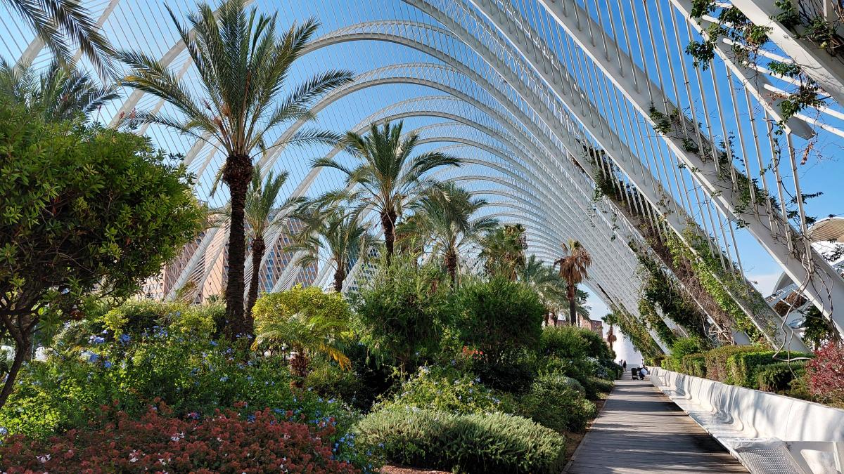 Погрітися у Валенсії: що варто встигнути за першу поїздку до приморської перлини Іспанії