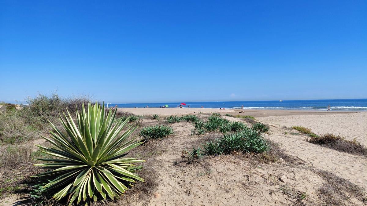 Погрітися у Валенсії: що варто встигнути за першу поїздку до приморської перлини Іспанії