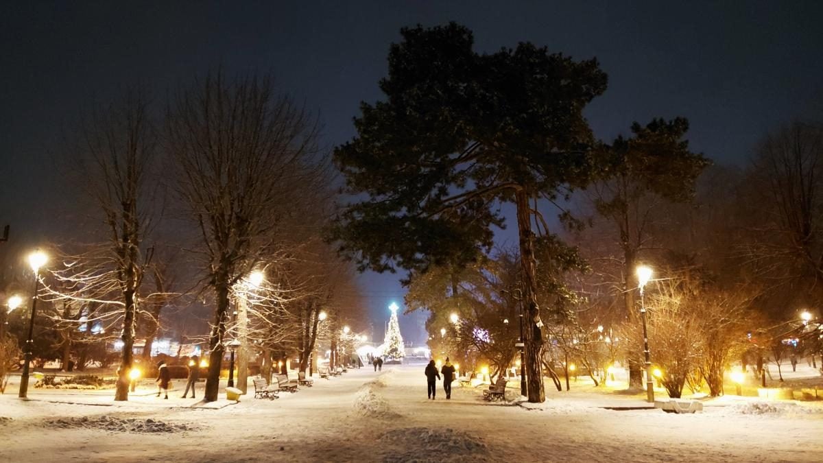 Рясні снігопади в Україні: Трускавець перетворився на справжню зимову казку (фоторепортаж)