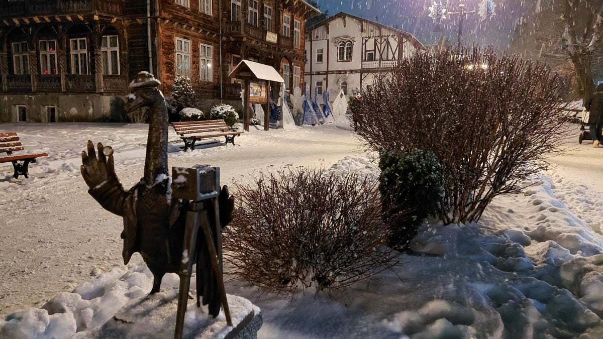 Рясні снігопади в Україні: Трускавець перетворився на справжню зимову казку (фоторепортаж)