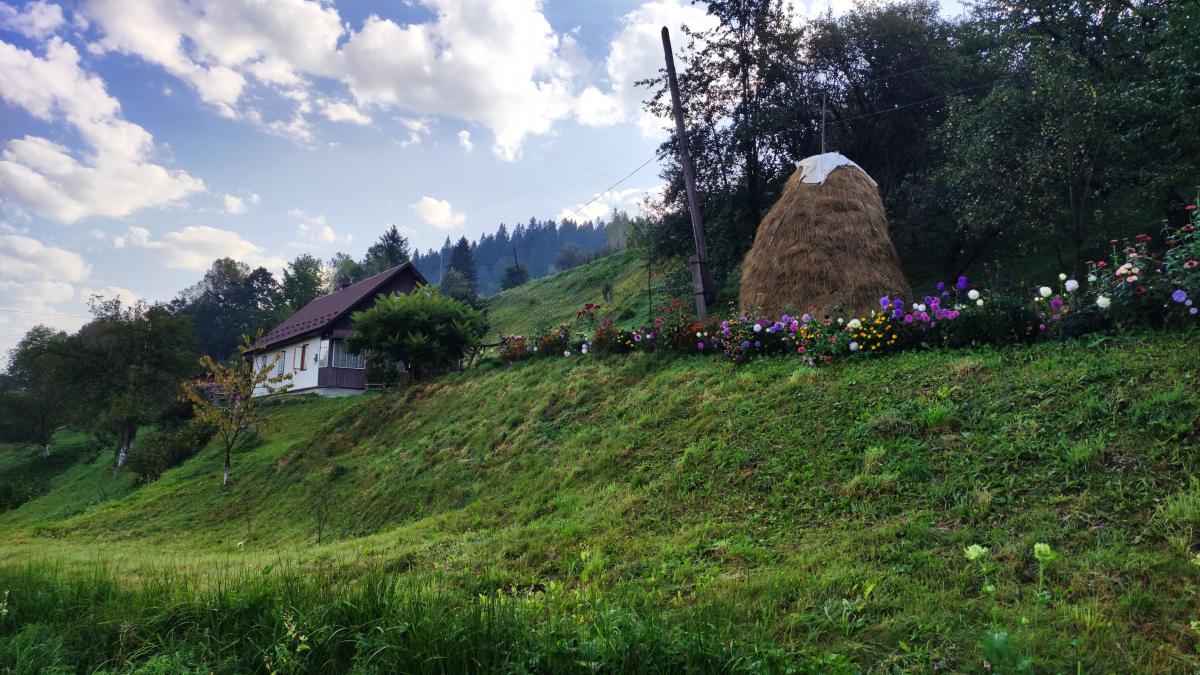 У які місця їздили та чого хотіли: що відомо про внутрішній туризм в Україні у 2025 році 1 У які місця їздили та чого хотіли: що відомо про внутрішній туризм в Україні у 2025 році
