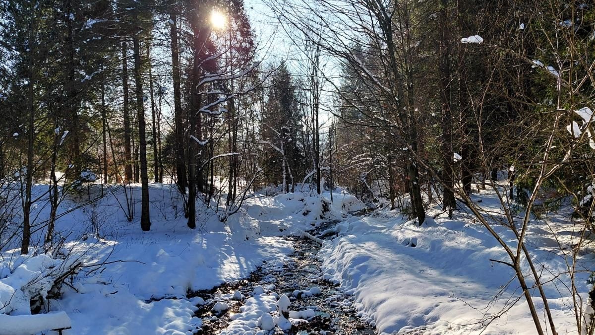 Зимова Тустань: казкові безлюдні краєвиди, але доїхати самостійно важко