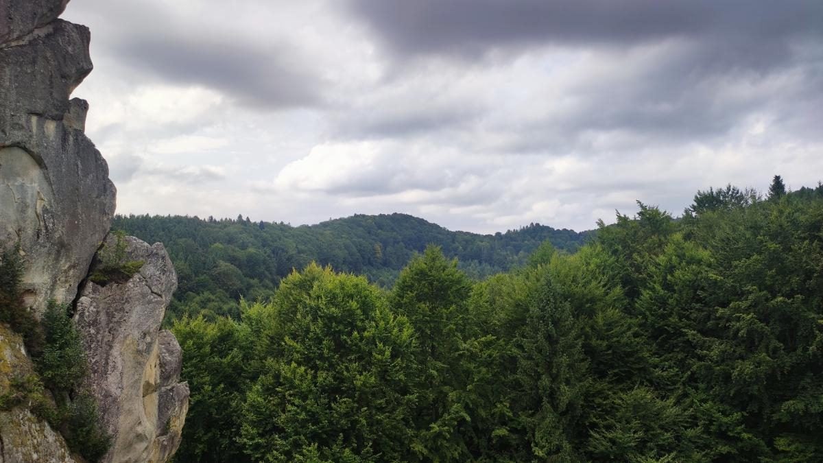 Зимова Тустань: казкові безлюдні краєвиди, але доїхати самостійно важко