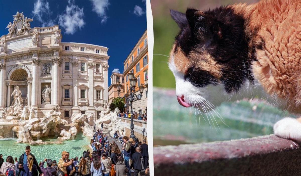 Головна 2 Не лише скупчення людей і висока температура: 10 причин відмовитися від літнього відпочинку в Європі.