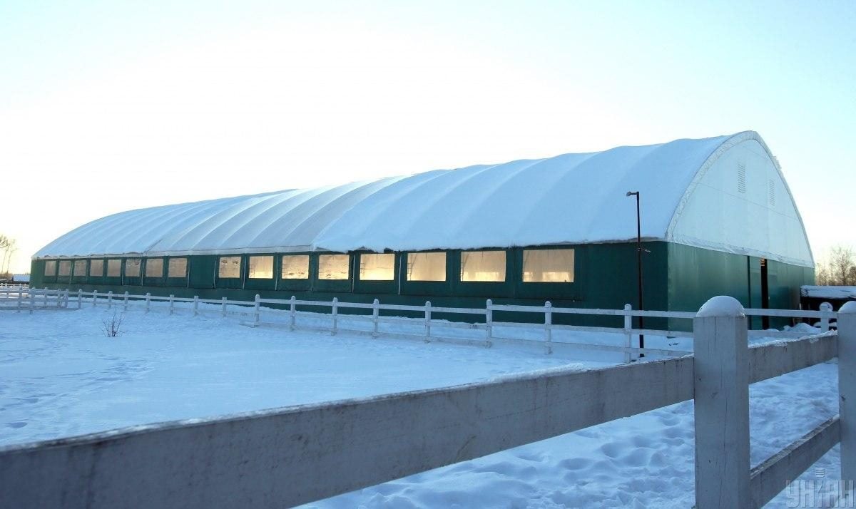 В екопарку під Києвом мешкає понад сотня оленів – чи можна до них наблизитися (фоторепортаж)