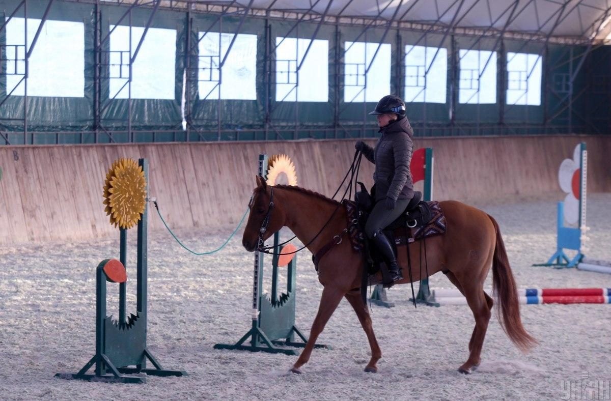 В екопарку під Києвом мешкає понад сотня оленів – чи можна до них наблизитися (фоторепортаж)