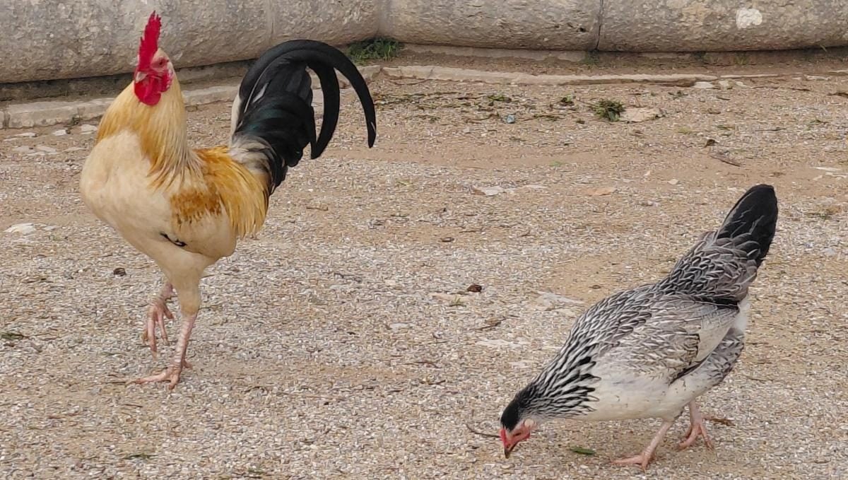 Кашкайш: затишний пляжний курорт в Португалії, де можна зазирнути в пащу Диявола