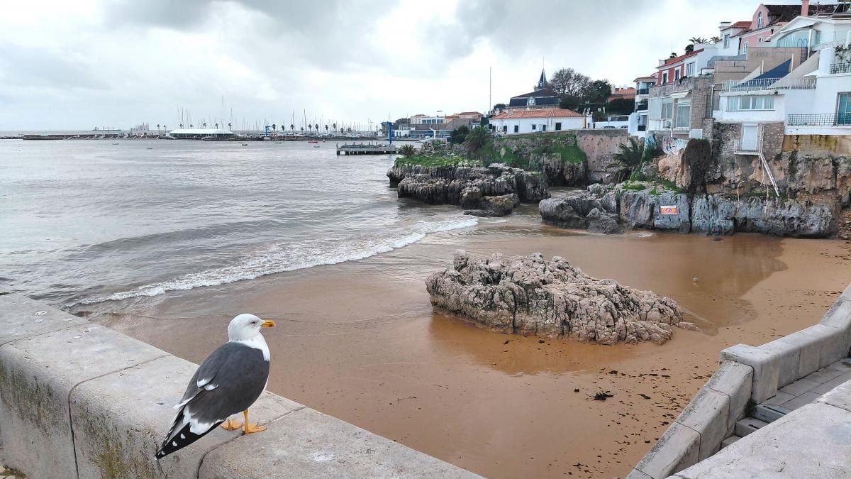 Кашкайш: затишний пляжний курорт в Португалії, де можна зазирнути в пащу Диявола