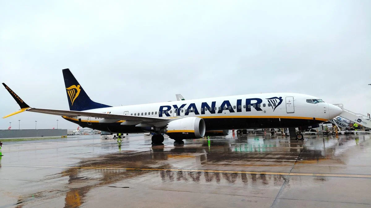 Мандрівникам Ryanair рекомендують використовувати картонні коробки для перевезення: експерт роз’яснив причини.