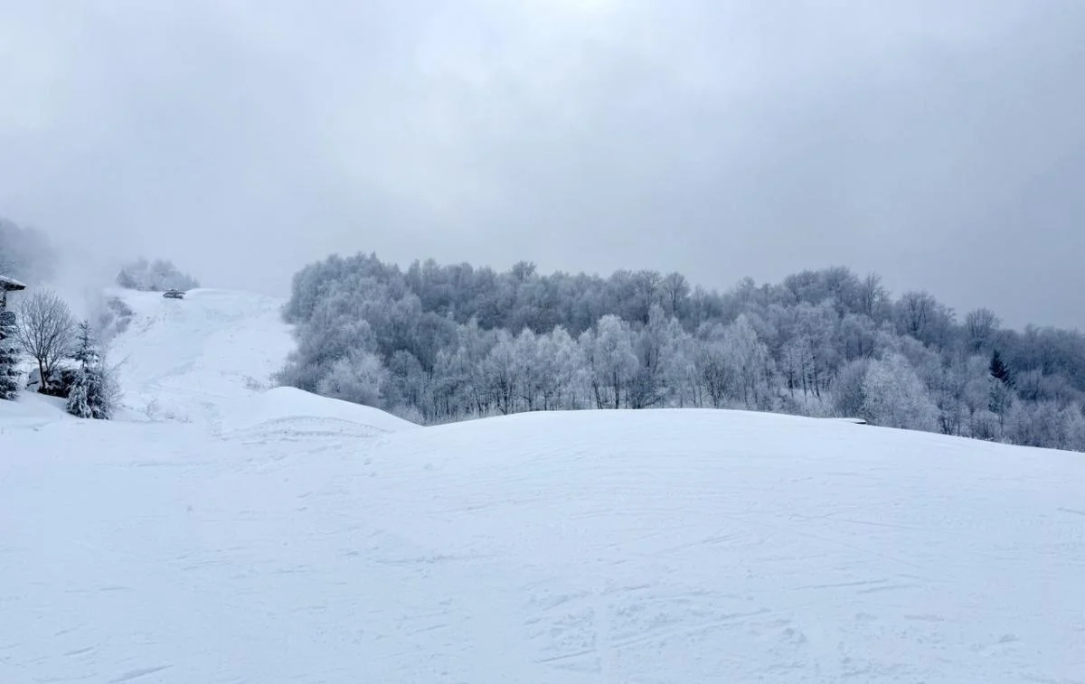 Сніголавинна небезпека в Україні: туристам вказали, де треба бути обережними