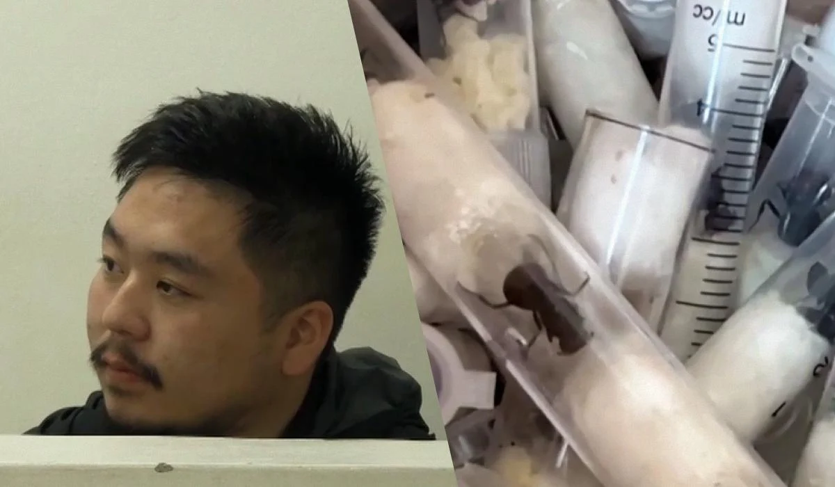 У Кенії затримали громадянина Китаю за спробу контрабанди більше 2000 живих мурах. 1 У Кенії затримали китайця за контрабанду понад 2 тисяч живих мурах