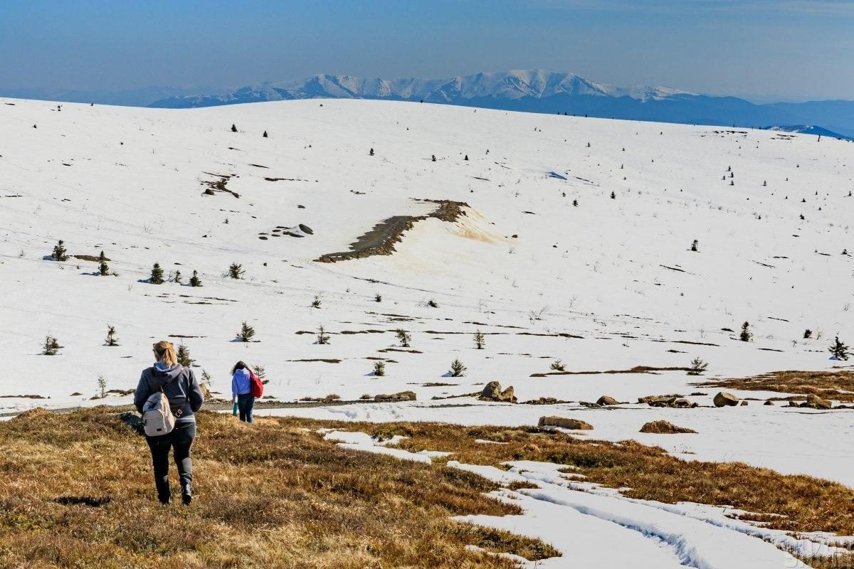 Весняні походи в Карпатах: що цікавого пропонує Полонина Руна в Закарпатті (фоторепортаж) 5 Весняний хайкінг в Карпатах: чим туристів приваблює Полонина Руна на Закарпатті (фоторепортаж)