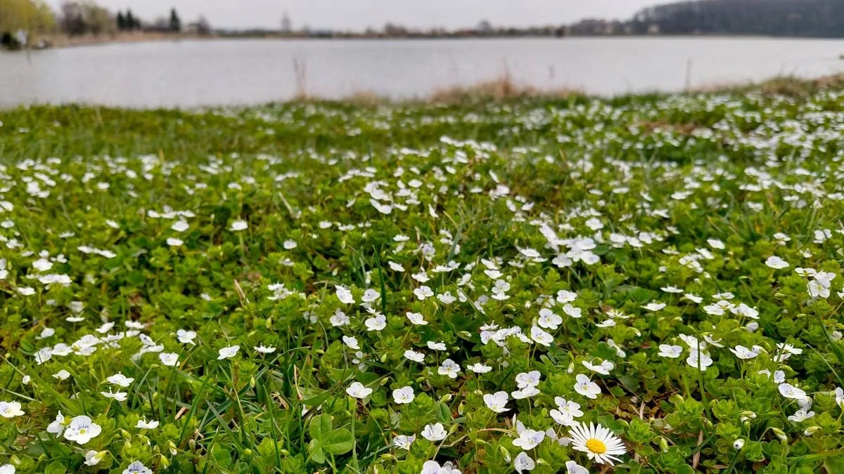 Доброгостів: розслабляючий похід до мальовничого озера з Трускавця