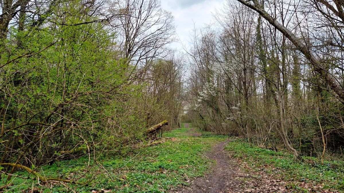 Доброгостів: розслабляючий похід до мальовничого озера з Трускавця