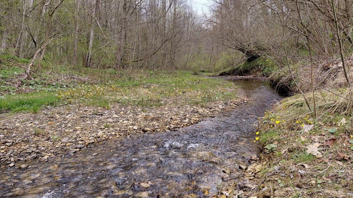 Доброгостів: розслабляючий похід до мальовничого озера з Трускавця