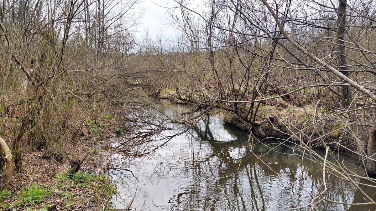 Доброгостів: розслабляючий похід до мальовничого озера з Трускавця