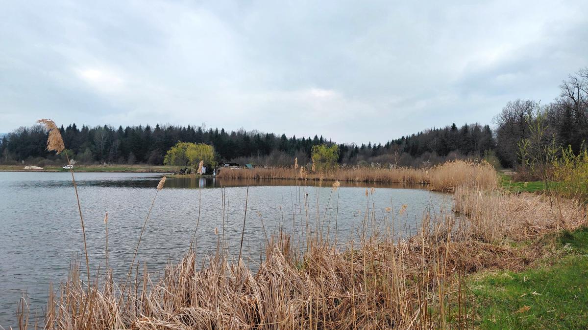Доброгостів: розслабляючий похід до мальовничого озера з Трускавця