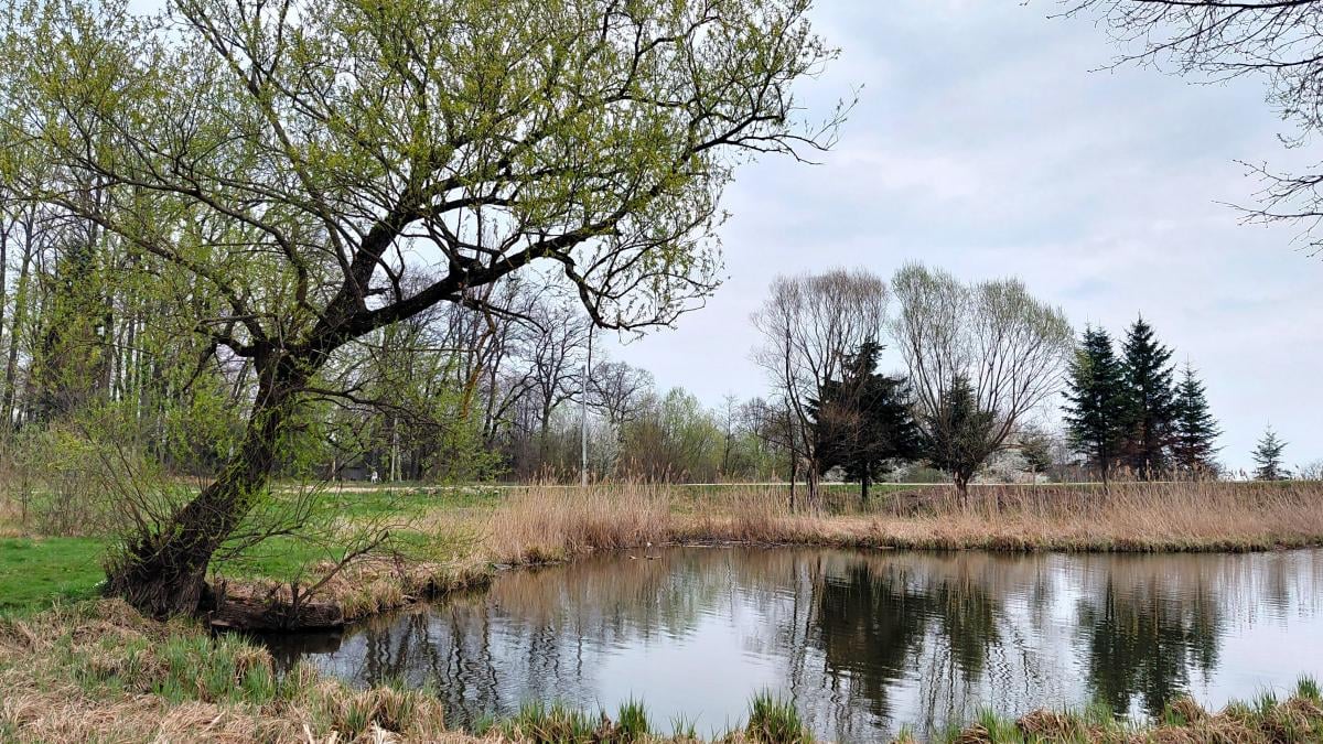 Доброгостів: розслабляючий похід до мальовничого озера з Трускавця