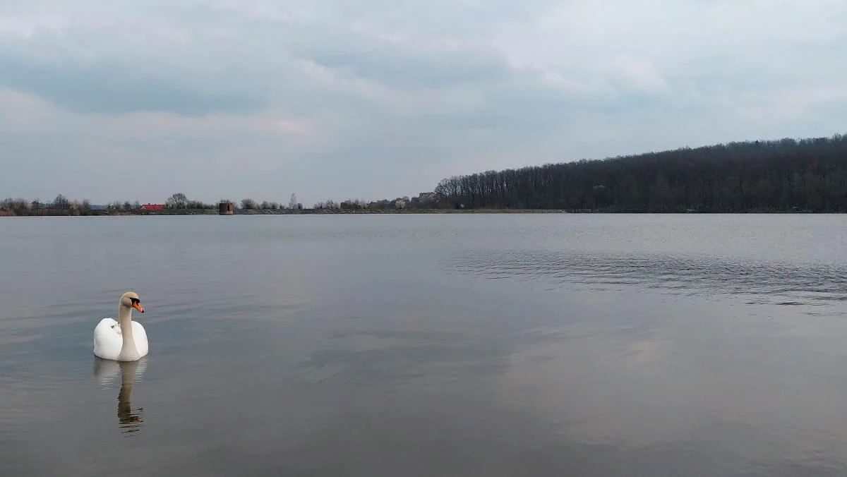 Доброгостів: розслабляючий похід до мальовничого озера з Трускавця