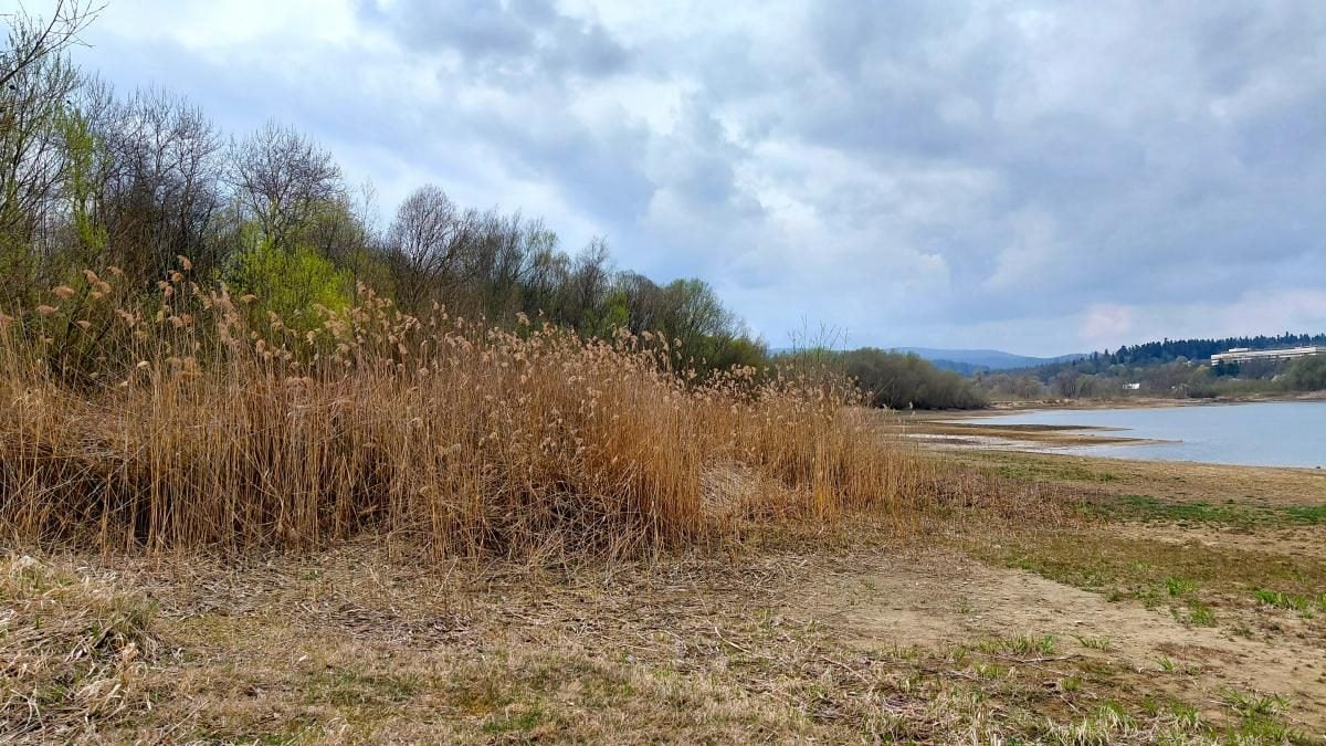 Доброгостів: розслабляючий похід до мальовничого озера з Трускавця