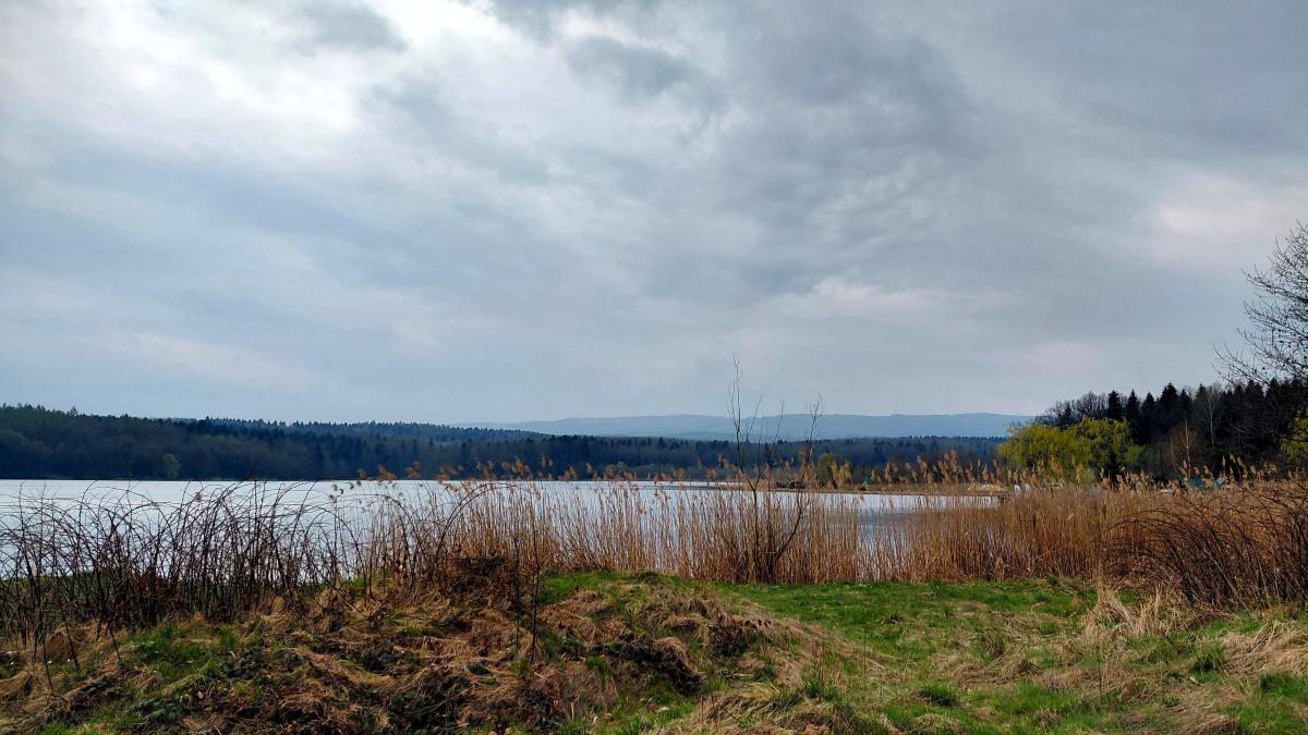 Доброгостів: розслабляючий похід до мальовничого озера з Трускавця