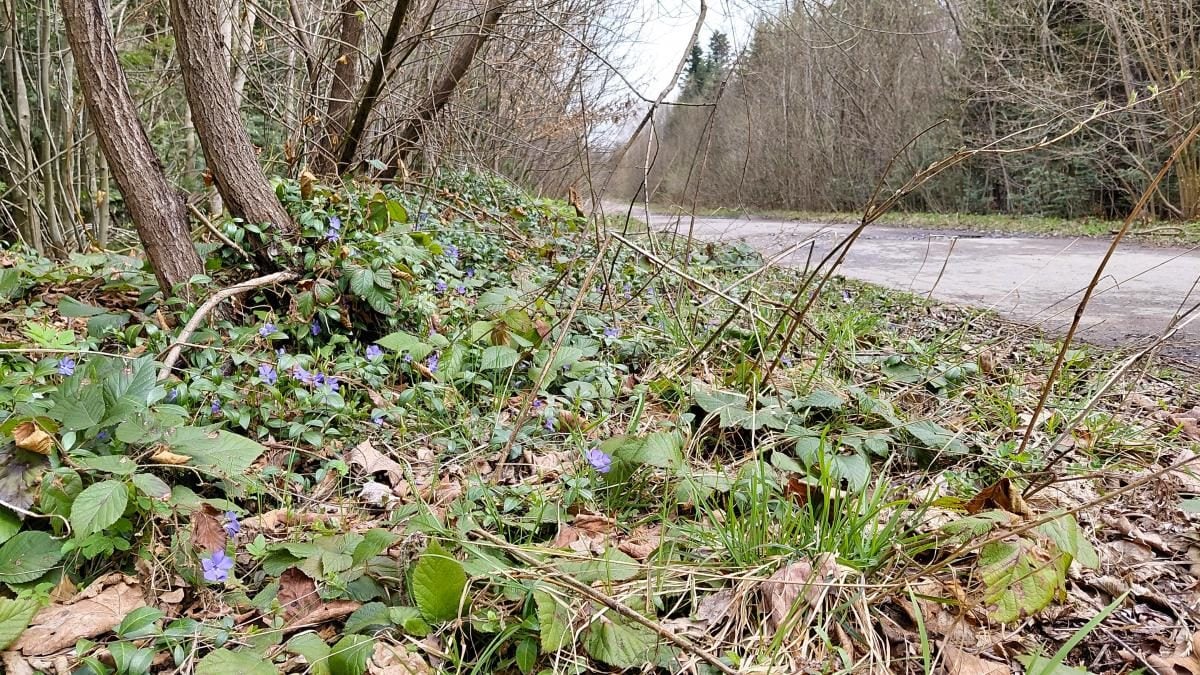 Доброгостів: розслабляючий похід до мальовничого озера з Трускавця