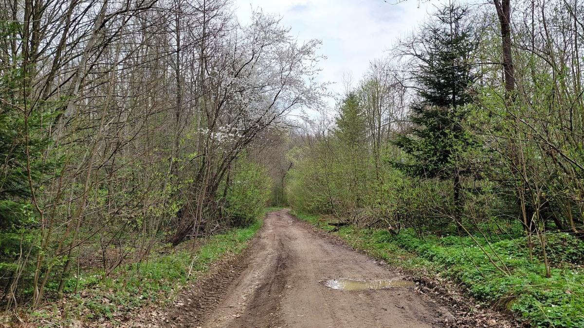 Доброгостів: розслабляючий похід до мальовничого озера з Трускавця