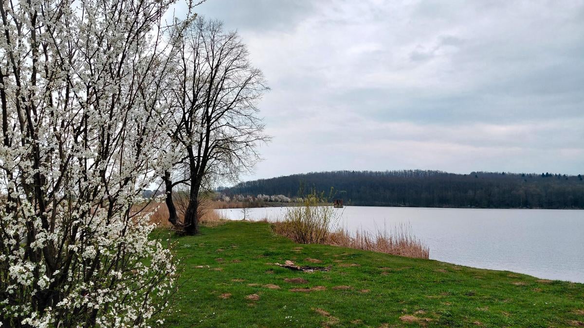 Доброгостів: розслабляючий похід до мальовничого озера з Трускавця