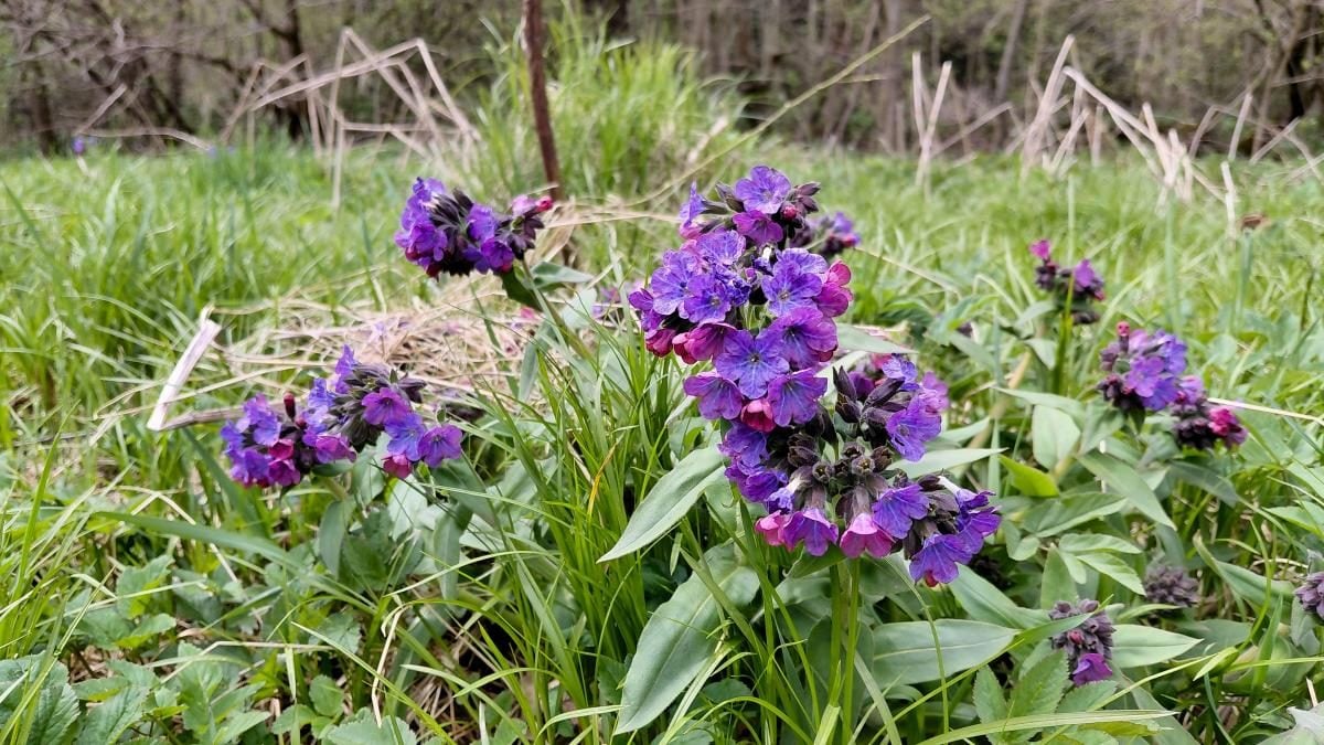 Доброгостів: розслабляючий похід до мальовничого озера з Трускавця