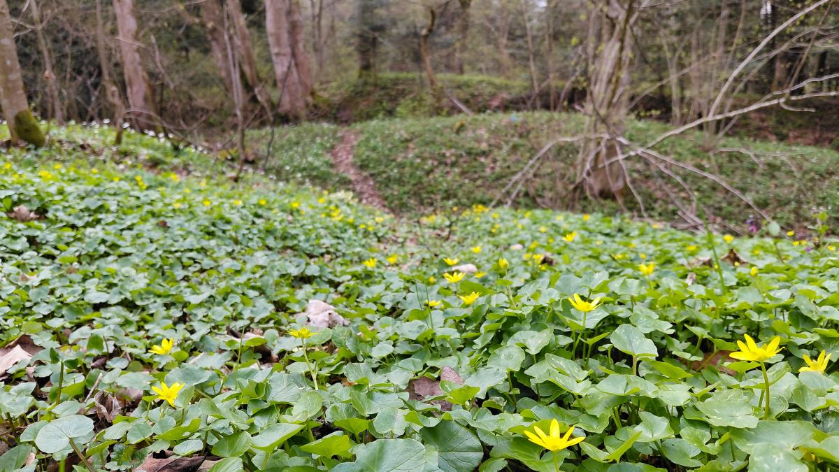 Доброгостів: розслабляючий похід до мальовничого озера з Трускавця