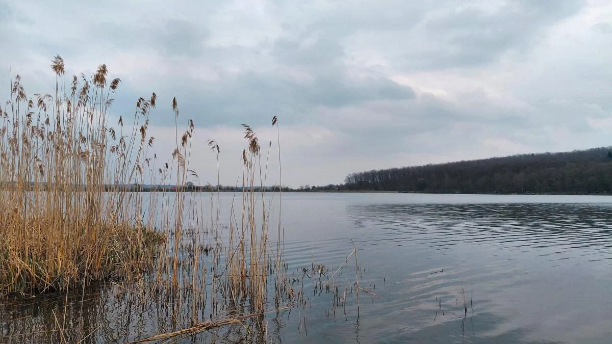 Доброгостів: розслабляючий похід до мальовничого озера з Трускавця