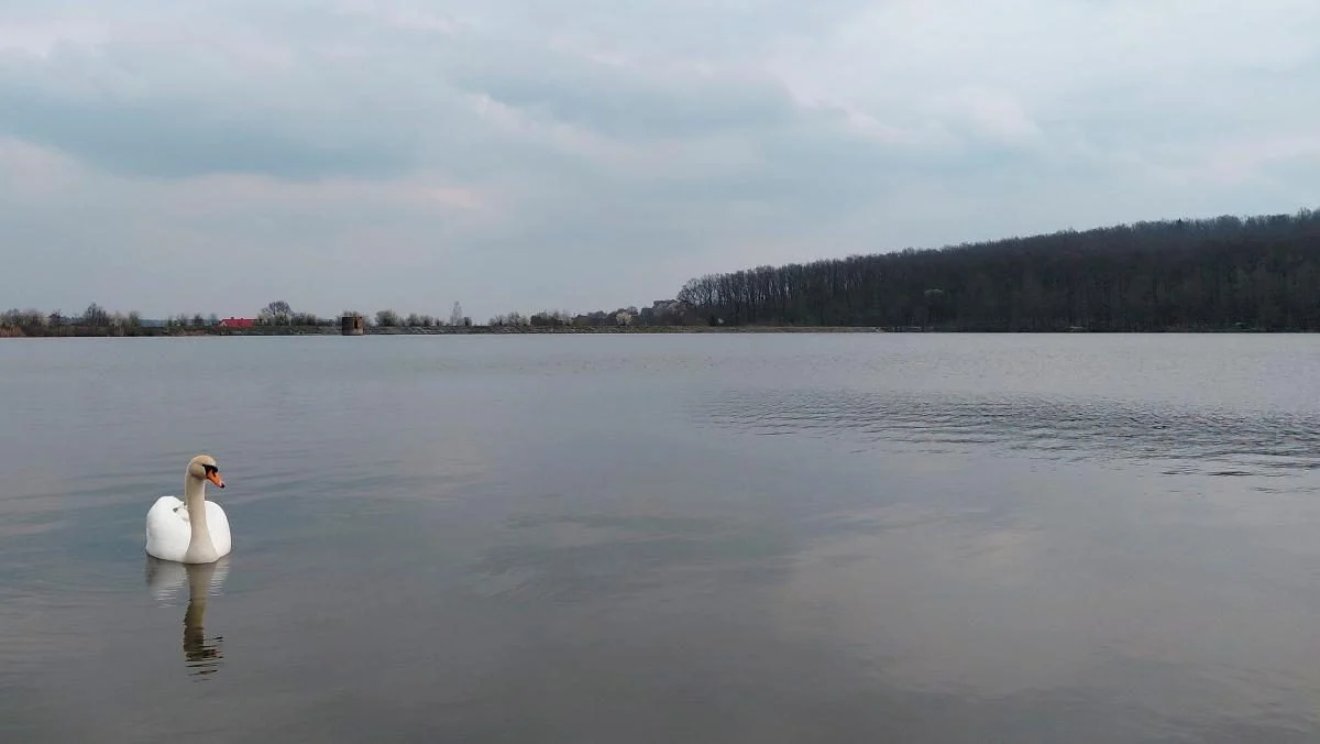 Доброгостів: розслабляючий похід до мальовничого озера з Трускавця