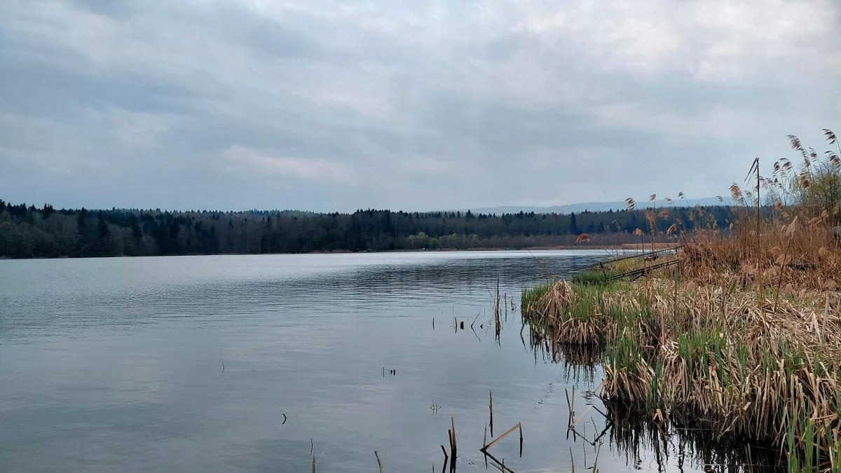 Доброгостів: розслабляючий похід до мальовничого озера з Трускавця