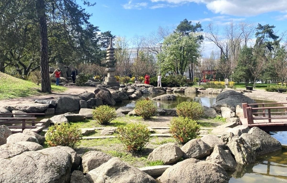 В Києві почали цвісти сакури: в парку "Кіото" також радують відвідувачів і магнолії (фото)