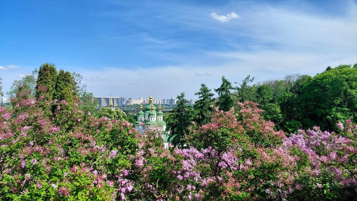 Не проштовхнутися: у київському ботсаду ажіотаж через цвітіння бузку (фоторепортаж)