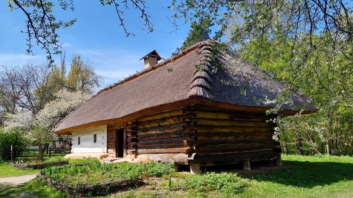 Вишневий сад біля оселі: травень – найкращий період для відвідування музею в Пирогові (фоторепортаж) 4 Садок вишневий коло хати: травень – ідеальний час завітати до музею в Пирогові (фоторепортаж)