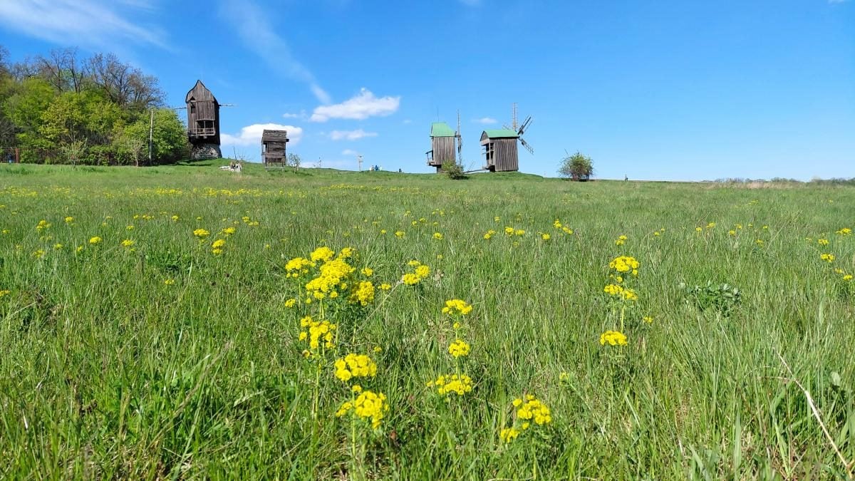 Вишневий сад біля оселі: травень – найкращий період для відвідування музею в Пирогові (фоторепортаж) 7 Садок вишневий коло хати: травень – ідеальний час завітати до музею в Пирогові (фоторепортаж)