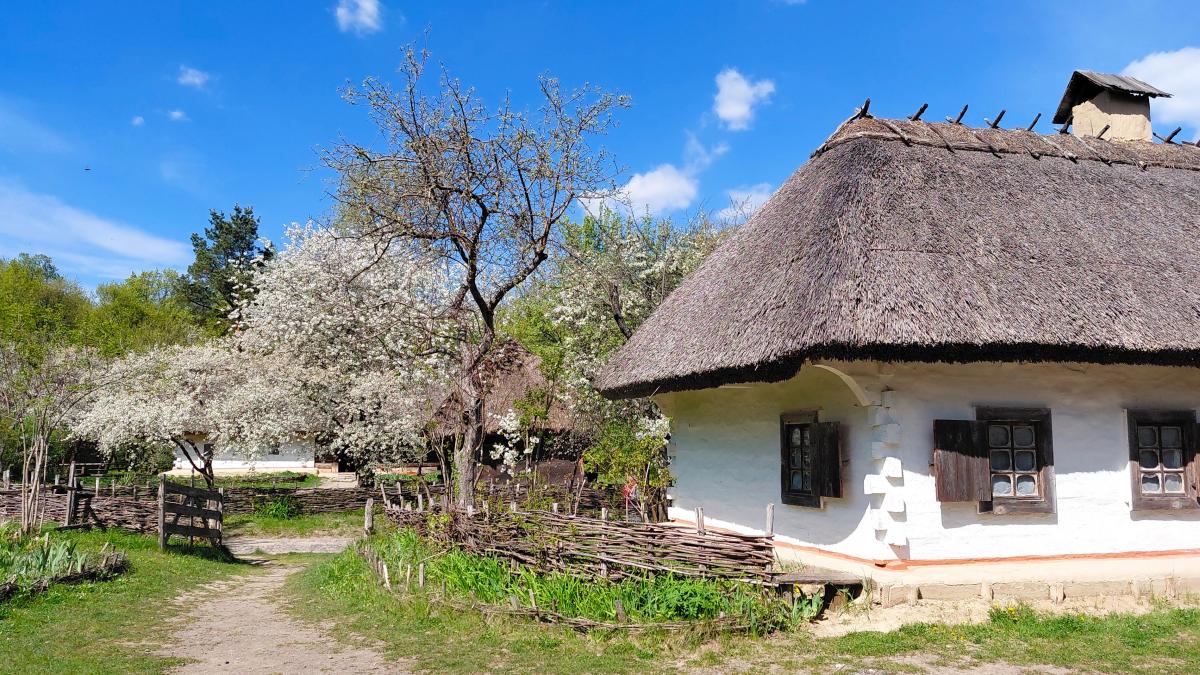 Вишневий сад біля оселі: травень – найкращий період для відвідування музею в Пирогові (фоторепортаж) 1 Садок вишневий коло хати: травень – ідеальний час завітати до музею в Пирогові (фоторепортаж)